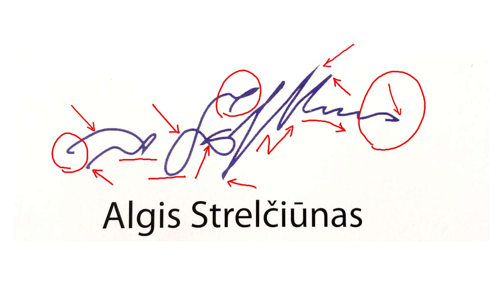 a strelciunas grafol